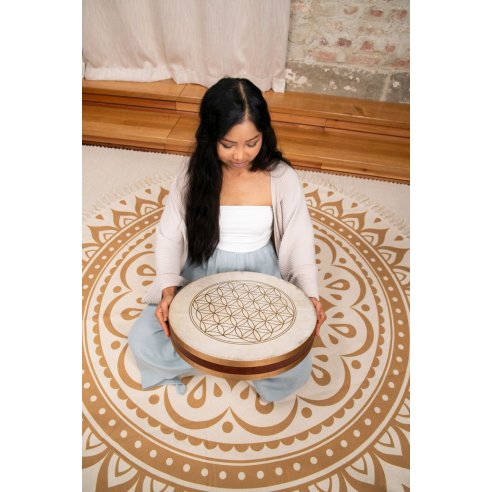 SONIC ENERGY WD16FOL