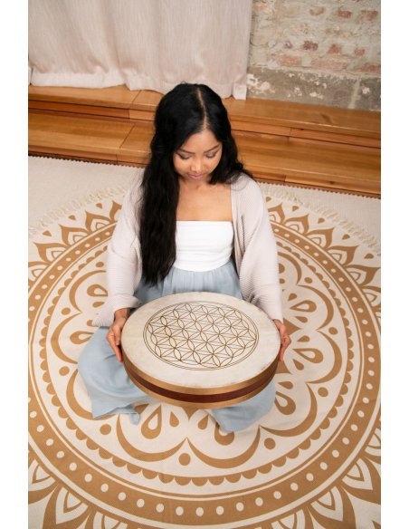 SONIC ENERGY WD16FOL