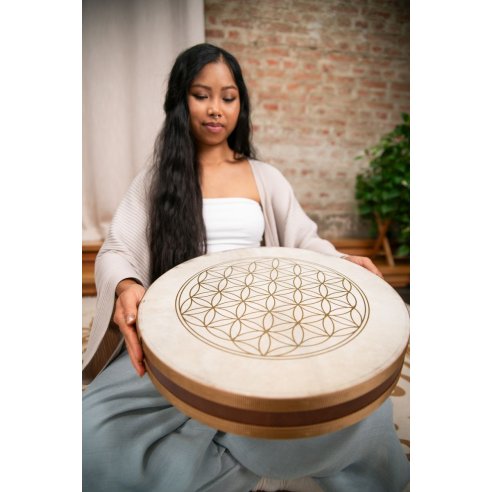 SONIC ENERGY WD16FOL