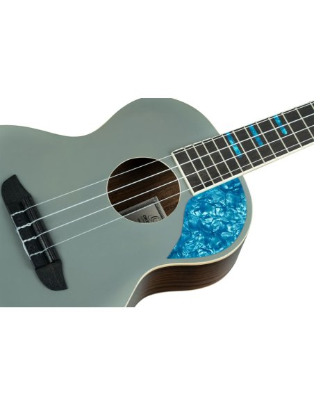 ORTEGA RUGH-PLT ORTEGA RUGH-PLT