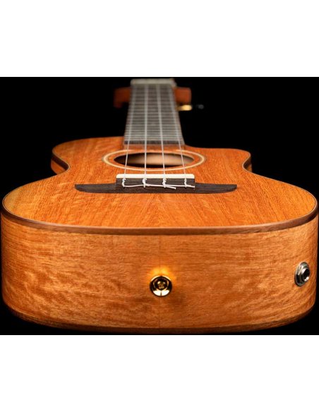 ORTEGA RUMG-CE ORTEGA RUMG-CE