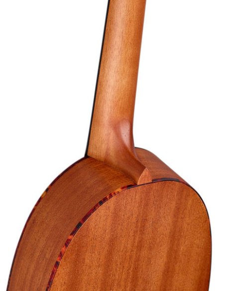 ORTEGA RUPA5MM ORTEGA RUPA5MM