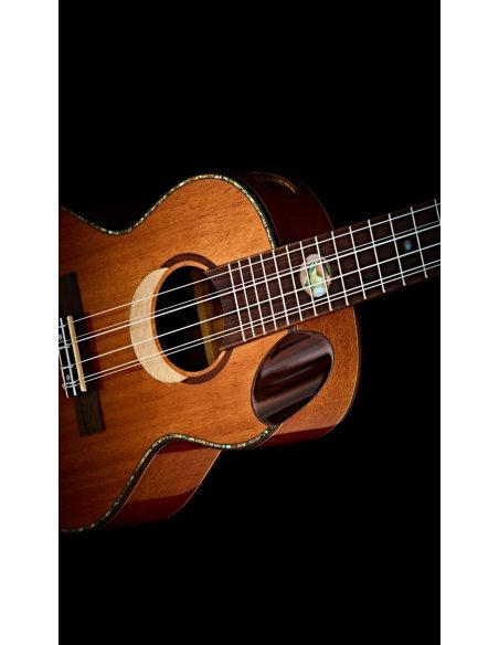 ORTEGA ECLIPSE-CC4 ORTEGA ECLIPSE-CC4