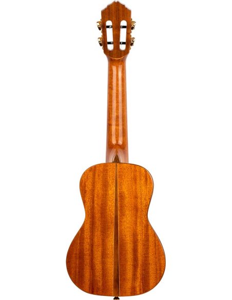 ORTEGA ECLIPSE-CC4 ORTEGA ECLIPSE-CC4