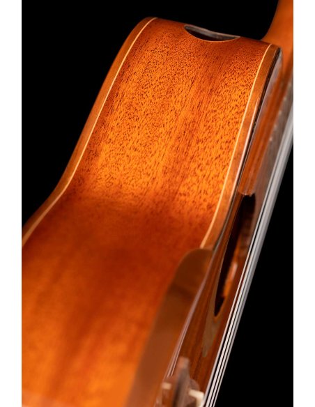 ORTEGA ECLIPSE-CC4 ORTEGA ECLIPSE-CC4