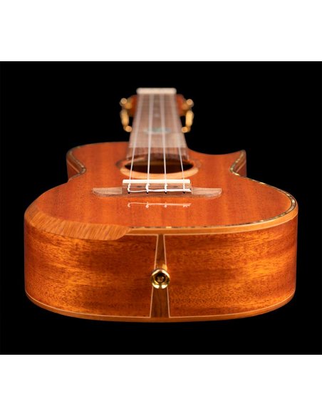 ORTEGA ECLIPSE-CC4 ORTEGA ECLIPSE-CC4