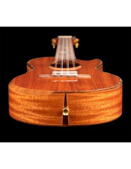 ORTEGA ECLIPSE-TE8 ORTEGA ECLIPSE-TE8