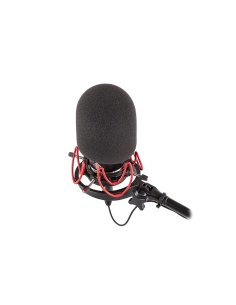 RYCOTE MICROPHONE Antivento Rycote