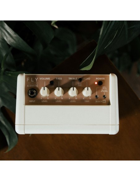 BLACKSTAR FLY 3 ACOUSTIC BLACKSTAR FLY 3 ACOUSTIC