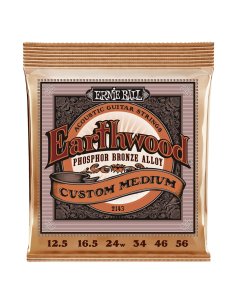 Ernie Ball 2143 Earthwood Custom Medium Phosphore Bronze