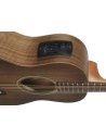 TAYLOR GS MINI-e WALNUT SEB TOP
