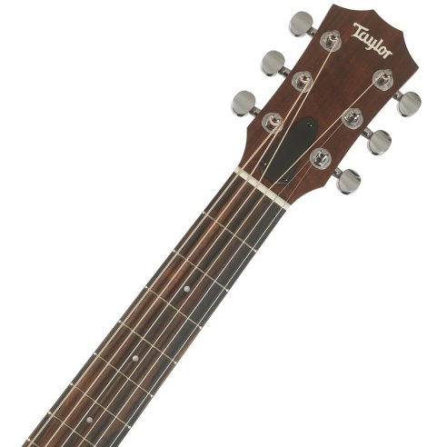 TAYLOR GS MINI-e WALNUT SEB TOP