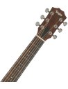 TAYLOR GS MINI-e WALNUT SEB TOP