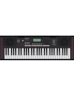 ROLAND E-X10