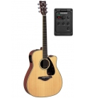 Electrified Acoustic Guitar
