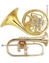 HORNE, FLICHORNE UND ANDERE BLAßINSTRUMENTE