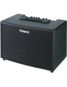 Amplifiers for Acoustic Guitar