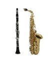 Woodwinds: saxophones and clarinets