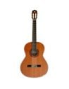 Classical and Spanish guitars