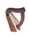 Banjo, mandolins, and other string instruments.
