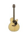 Guitares Acoustiques